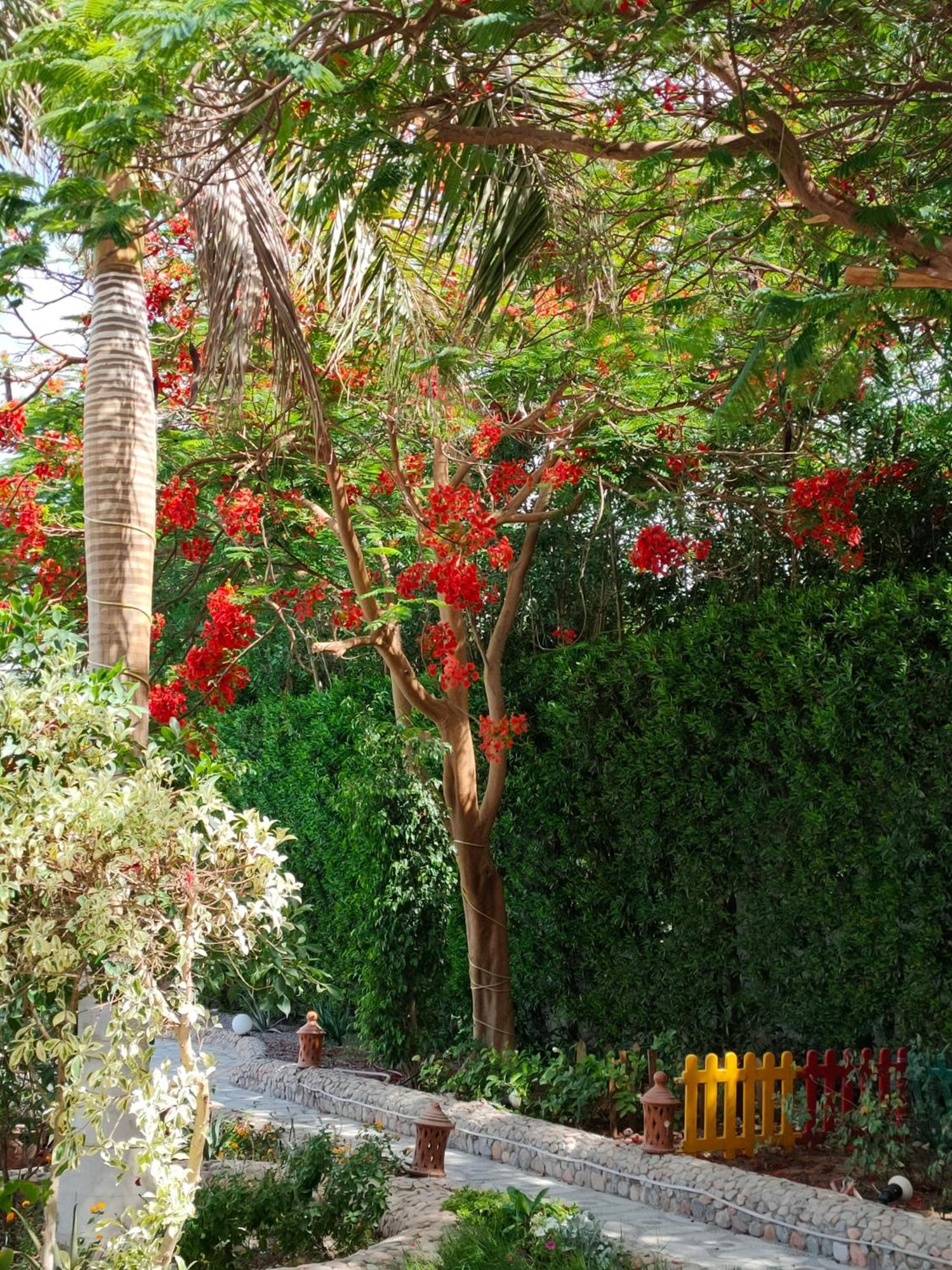 Apartament Luxury Gardenhouse Pool Wifi Hurghada